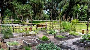 Storia degli Orti&nbsp;Urbani